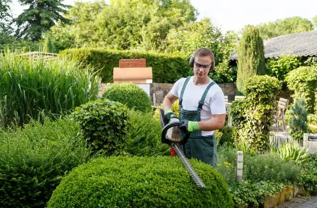 landscaping services Audubon